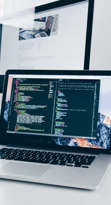 Web development